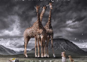 This Winter Machine Kites cover