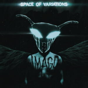 Space Of Variations IMAGO cover