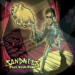 Sandness Play Your Part cover