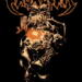 Cavalera US Tour 2022 poster