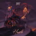 DVL Hush cover