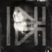 Billy Howerdel What Normal Was cover