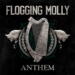 Flogging Molly Anthem cover