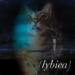 Lybica ST cover
