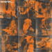 Inclination Unaltered Perspective cover