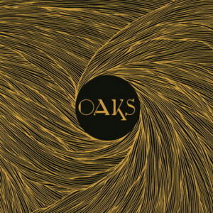 Oaks Genesis of the Abstract cover