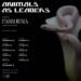 Animals As Leaders European & UK Tour 2023 poster