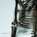 Kingsmen Bones Don’t Lie cover
