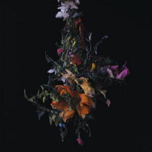 Big|Brave nature morte cover
