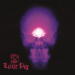 Little Pig debut self-titled album cover