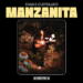 Shana Cleveland Manzanita cover