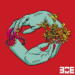 Black Orchid Empire Tempus Veritas cover