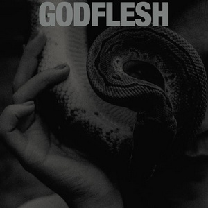 Godflesh Purge cover