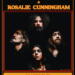 Siena Root German Live Shows 2023 poster