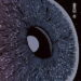 The Mon Eye cover