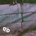 Divide And Dissolve Systemic cover