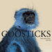 Godsticks This is What a Winner Looks Like cover