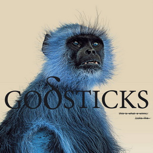 Godsticks This is What a Winner Looks Like cover