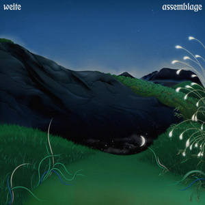 Weite Assemblage cover