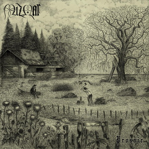Mizmor Prosaic cover