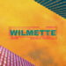 Wilmette Hyperfocused cover