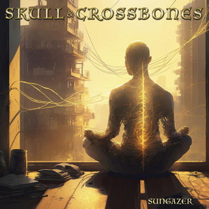 Skull & Crossbones Sungazer cover