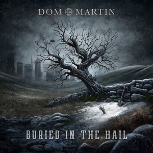 Dom Martin Buried in the Hail cover