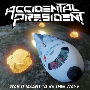 Accidental President Was It Meant to Be This Way cover