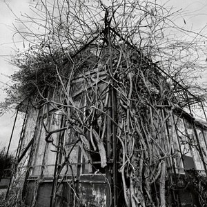 Impure Wilhelmina Dead Decades EP cover