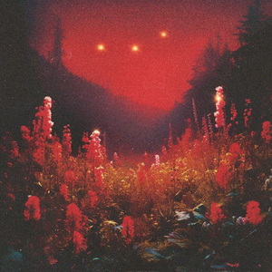 Silent Planet Superbloom cover