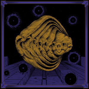 Tortuga Iterations cover