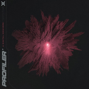 Profiler A Digital Nowhere cover