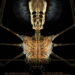 Tool US Tour 2024 poster