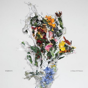 Big|Brave A Chaos of Flowers cover
