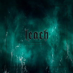 Leach New Model of Disbelief cover