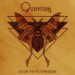 Quantum Down the Mountainside cover