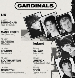 Cardinals UK & Ireland Tour 2024 poster