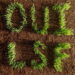 Les Savy Fav Oui, LSF cover