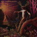 Tarot Glimpse of the Dawn cover