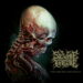 Severe Torture Torn from the Jaws of Death cover