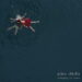 Alien Chicks Indulging the Mobs EP cover