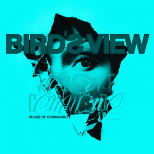 Bird’s View House of Commando cover