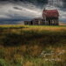 Bywater Call Shepherd cover
