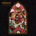 Reach Prophecy cover