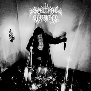 Spectral Wound Songs of Blood and Mire cover