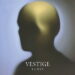 Vestige Janis cover