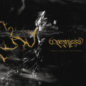 Dreamless Veil Every Limb of the Flood cover