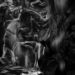 Oranssi Pazuzu Muuntautuja cover