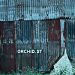 Arimea Orchid Street EP cover