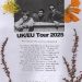 The Belair Lip Bombs UK & European Tour 2025 poster